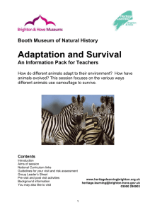 Adaptation and Survival pack - Heritage Learning Brighton & Hove