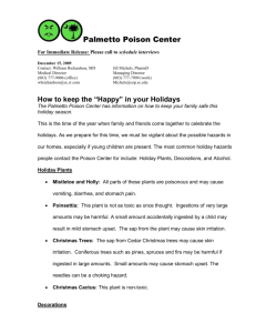 Christmas PSA - Palmetto Poison Center
