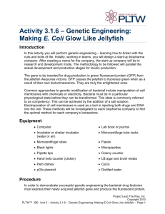 Activity 3.1.6: Genetic Engineering: Making EColi Glow Like Jellyfish