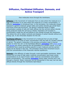 Diffusion, Facilitated Diffusion, Osmosis, and Active Transport