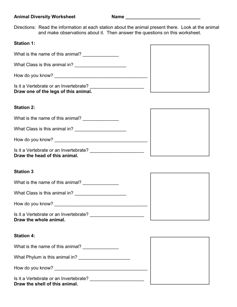 animal diversity worksheet