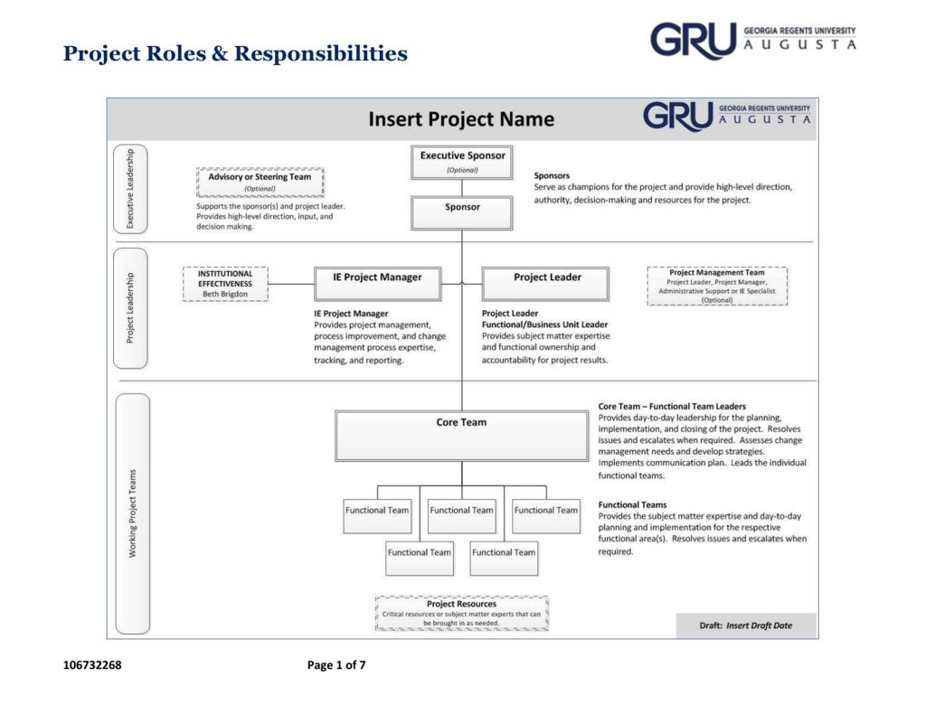 Battery Project Roles & Responsibilities