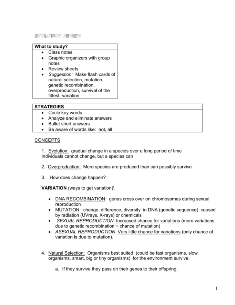 EVOLUTION REVIEW SHEET Rosedale11universitybiology