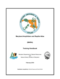 MARA Training Handbook