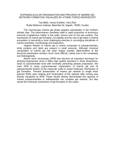 supramolecular organization and process of marine gel network