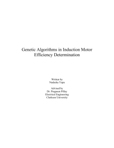 Genetic Algorithms in Induction Motor Efficiency Determination
