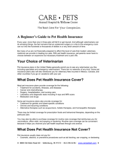 Beginner`s Guide to Pet Health Insurance