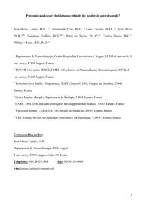 Proteomic comparison between brain sample issued - HAL