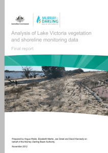 An analysis of Lake Victoria vegetation and shoreline monitoring data