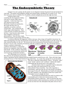 WS - Endosymbiotic Theory cells