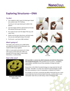 Exploring Structures DNA