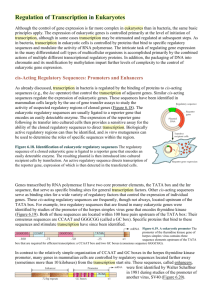 Regulation of Transcription in Eukaryotes