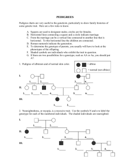 Family Pedigree Assignment