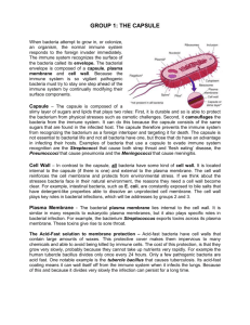 Bacteria structure and infectious disease