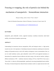 Freezing or wrapping, the role of particle size behind the mechanism