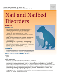 nail_and_nailbed_disorders