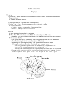 Lecture 40 outline (Language)