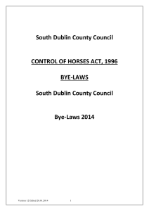 BYE LAWS MADE UNDER - South Dublin County Council