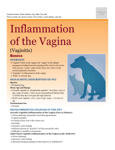 inflammation_of_the_vagina