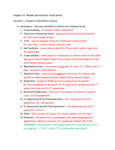 Chapter 12: Mendel and Heredity Study Guide Section 1 – Origins of
