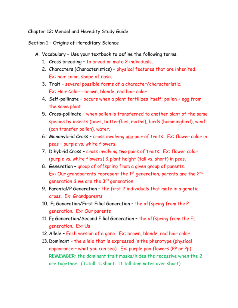 Chapter 22: Mendel and Heredity Study Guide Section 22 – Origins of In Mendelian Genetics Worksheet Answer Key