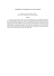 EXPERIMENTS WITH BORON CONTAINING CORIUM