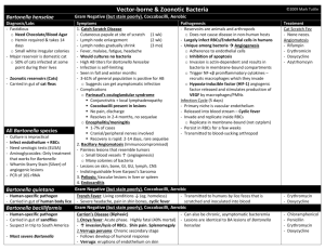 Vector-borne and Zoonotic Table