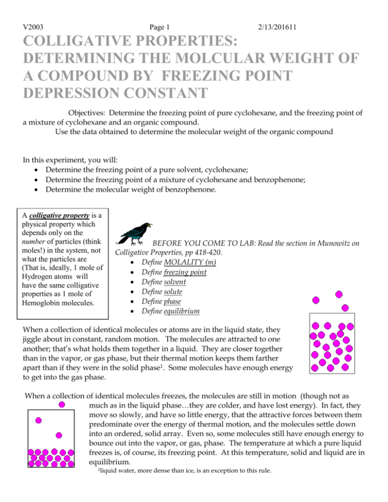 molar-mass-by-freezing-point-depression-protocol