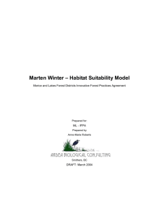Marten Winter Habitat Model Report