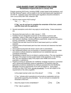 LEAD-BASED PAINT DETERMINATION FORM