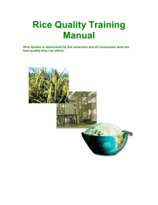 Grain Quality manual - Rice Knowledge Bank