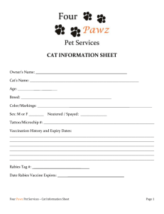 CAT INFORMATION SHEET Owner`s Name: Cat`s Name: Age: ___