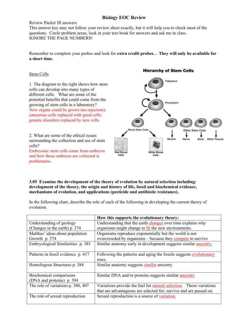 29 From Stem Cell To Any Cell Worksheet Answers Free Worksheet