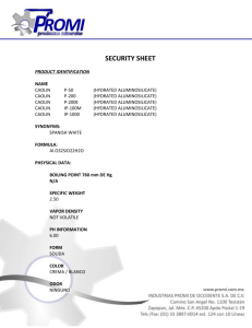SECURITY SHEET PRODUCT IDENTIFICATION NAME CAOLIN P
