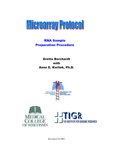MCW PGA Microarray Protocol