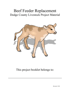 Beef Feed Replacement - Dodge County