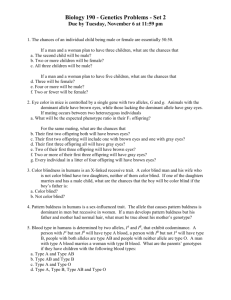 Biology 190 - Genetics Problems - Set 2