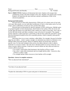 Gene Wheel Activity