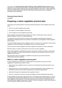 What is a native vegetation precinct plan?