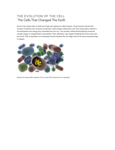 THE EVOLUTION OF THE CELL