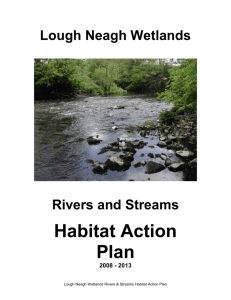 5.9. Rivers & Streams Habitat Action Plan