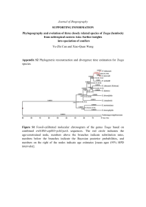 Appendix S2 Phylogenetic reconstruction and divergence