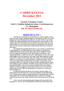 December 2012 Newsletter - Carrickmacross Veterinary Centre