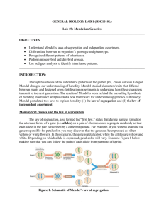 Lab # 6 - Mendelian Genetics