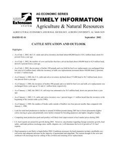 Cattle Situation and Outlook