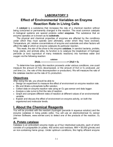 LABORATORY 3 Effect of Environmental Variables on Enzyme
