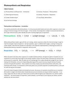 Photosynthesis & Respiration