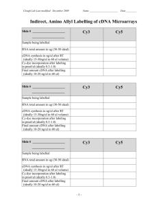 Amino Allyl Incorporation Method Worksheet