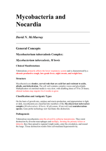 Mycobacteria and Nocardia - Environmental and Experimental Biology