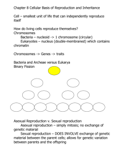 Chapter 8 Cellular Basis of Reproduction and Inheritance